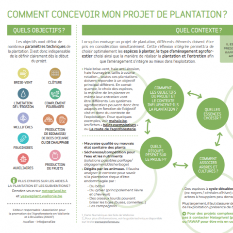 Comment concevoir mon projet de plantations